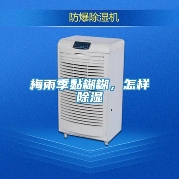 梅雨季黏糊糊，怎樣除濕