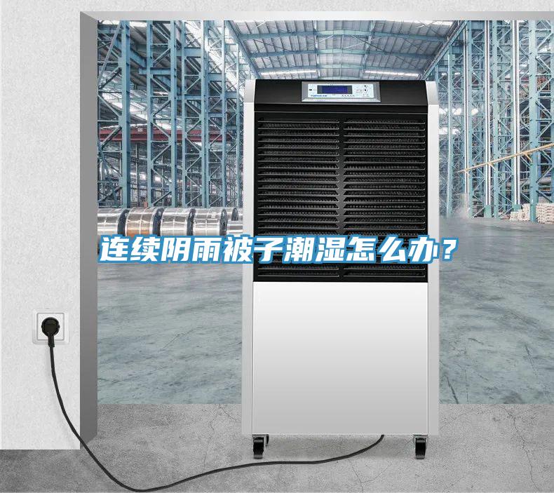 連續(xù)陰雨被子潮濕怎么辦？