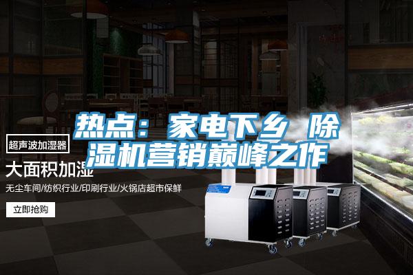 熱點:家電下鄉(xiāng) 除濕機營銷巔峰之作