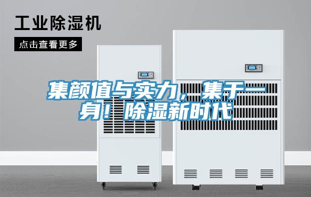 集顏值與實力，集于一身！除濕新時代