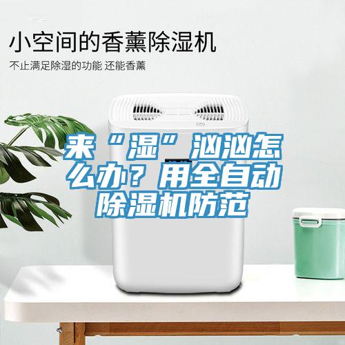 來“濕”洶洶怎么辦？用全自動除濕機防范