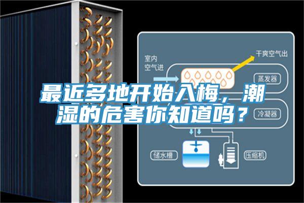 最近多地開始入梅,潮濕的危害你知道嗎?