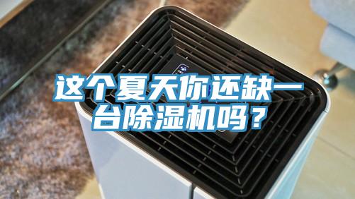 這個夏天你還缺一臺除濕機嗎?
