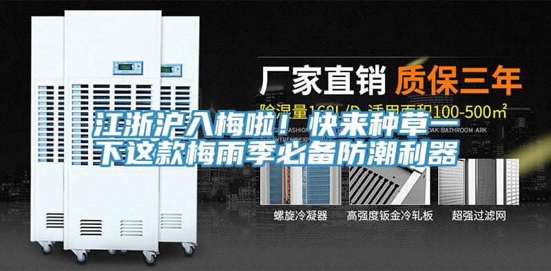 江浙滬入梅啦!快來種草一下這款梅雨季必備防潮利器