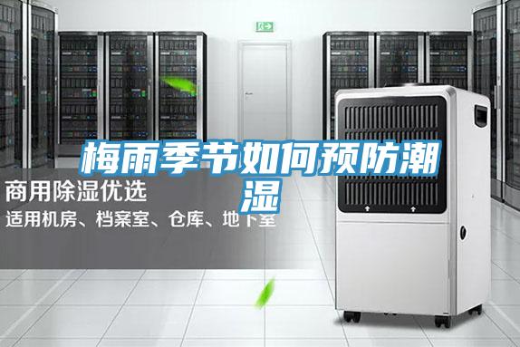 梅雨季節(jié)如何預(yù)防潮濕