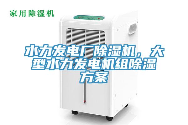 水力發電廠除濕機，大型水力發電機組除濕方案