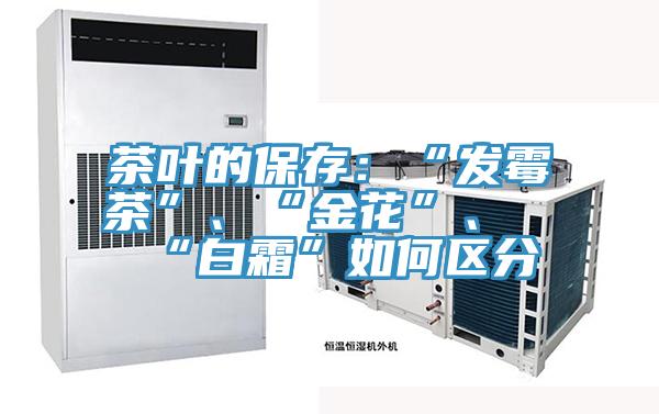 茶葉的保存：“發(fā)霉茶”、“金花”、“白霜”如何區(qū)分