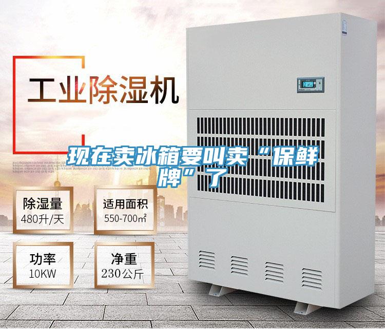 現在賣冰箱要叫賣“保鮮牌”了