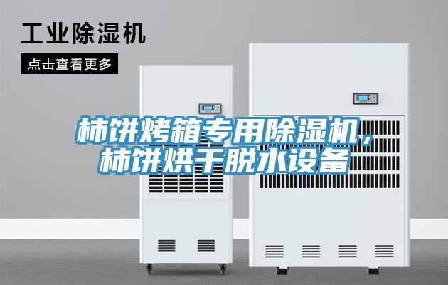 柿餅烤箱專用除濕機,柿餅烘干脫水設備