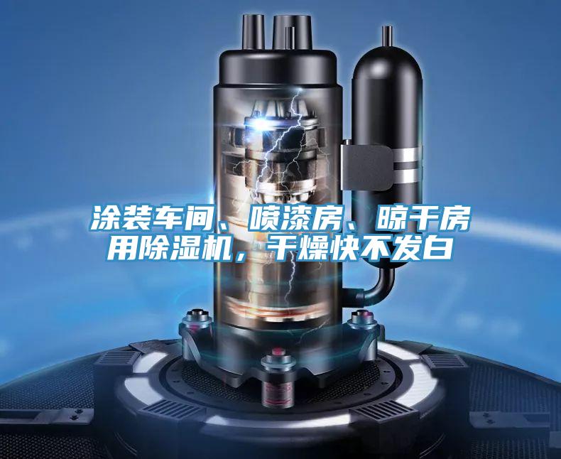 涂裝車間、噴漆房、晾干房用除濕機,干燥快不發(fā)白