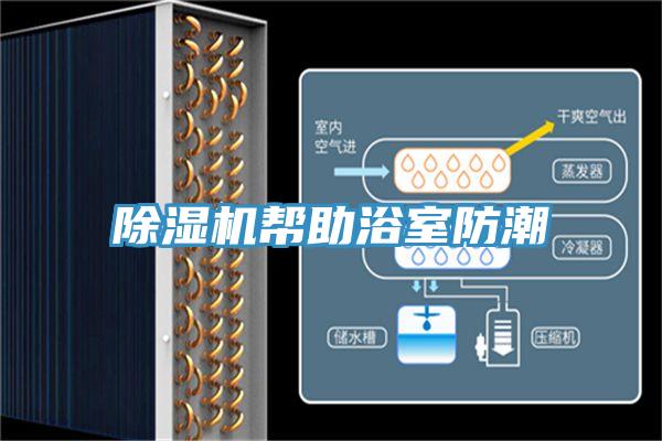 除濕機幫助浴室防潮