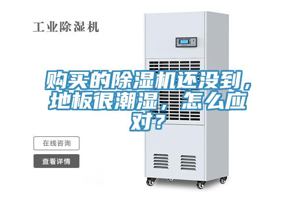 購買的除濕機還沒到,地板很潮濕,怎么應對?
