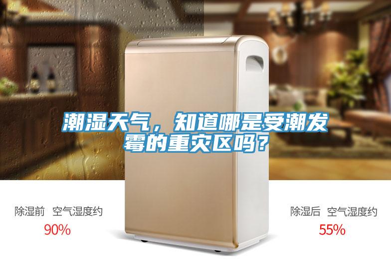 潮濕天氣，知道哪是受潮發霉的重災區嗎？