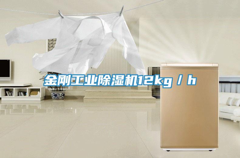金剛工業除濕機12kg／h