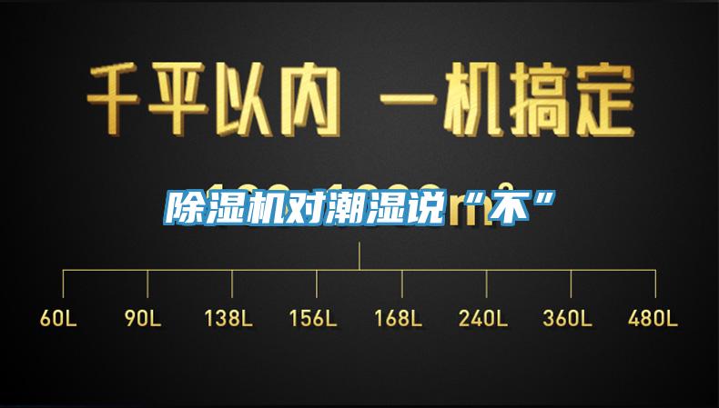 除濕機(jī)對潮濕說“不”