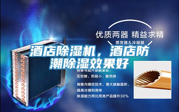 酒店除濕機，酒店防潮除濕效果好