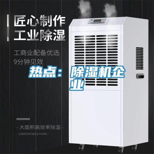 熱點:除濕機企業