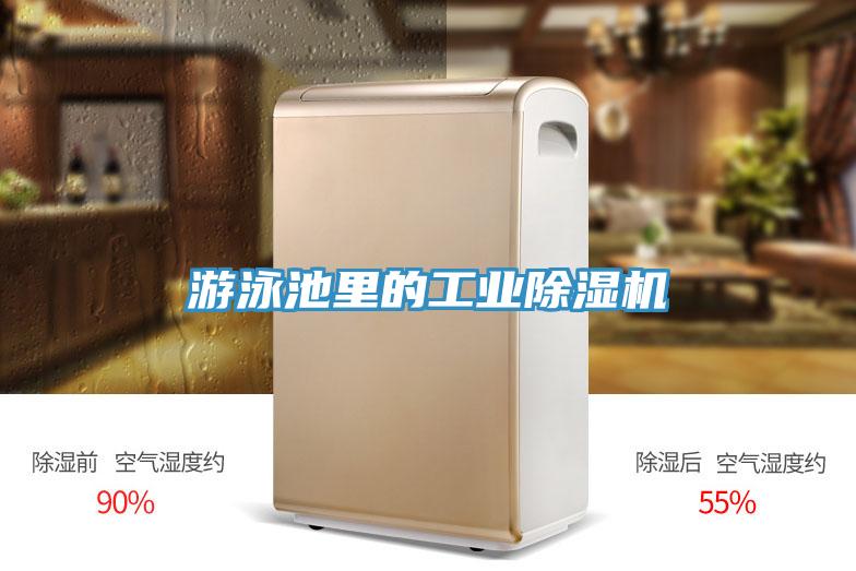 游泳池里的工業除濕機