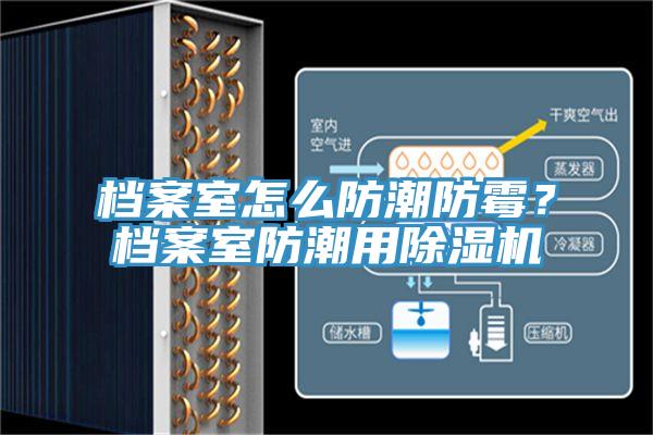 檔案室怎么防潮防霉？檔案室防潮用除濕機