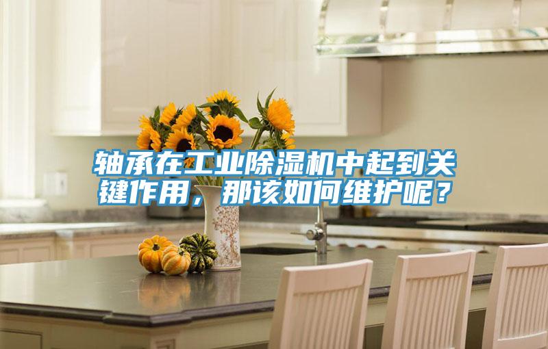 軸承在工業(yè)除濕機中起到關鍵作用,那該如何維護呢?