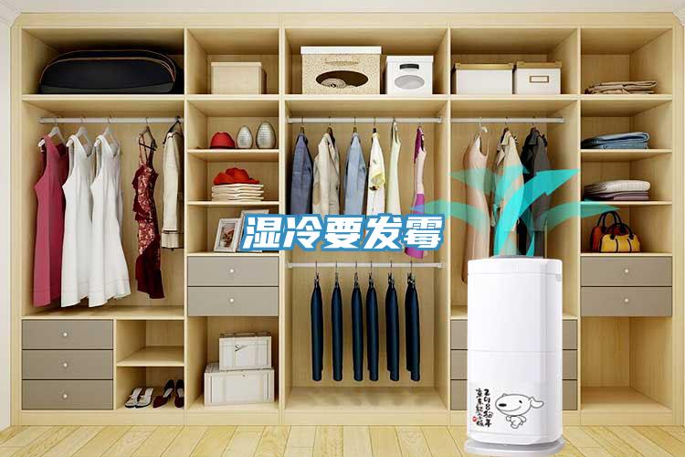 濕冷要發霉