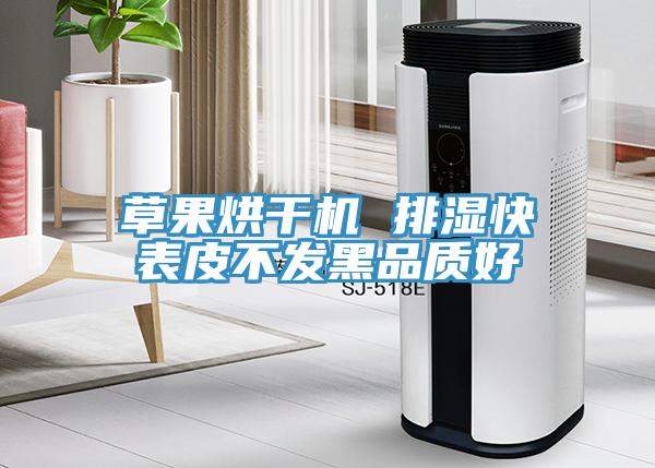 草果烘干機 排濕快表皮不發黑品質好