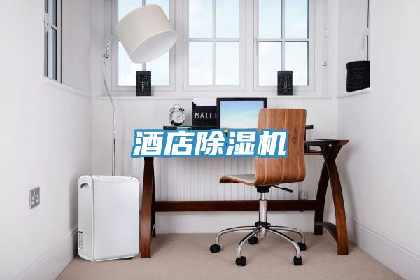 酒店除濕機
