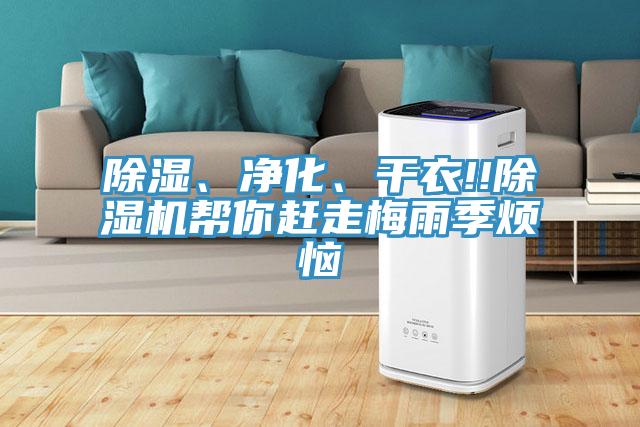 除濕、凈化、干衣!!除濕機幫你趕走梅雨季煩惱
