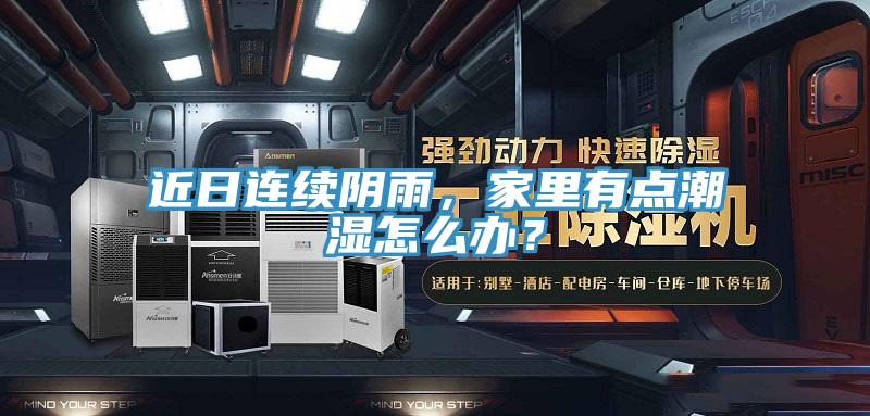 近日連續(xù)陰雨,家里有點潮濕怎么辦?