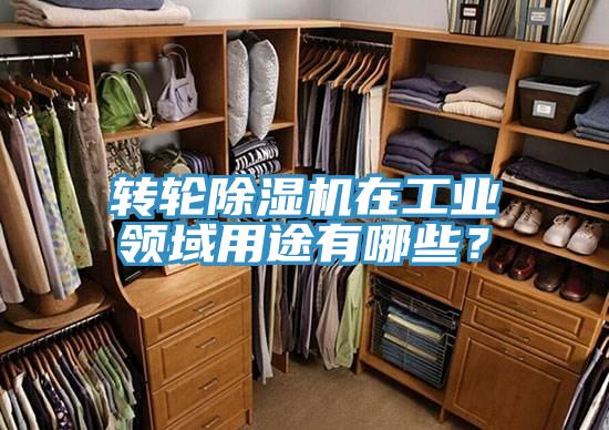 轉(zhuǎn)輪除濕機(jī)在工業(yè)領(lǐng)域用途有哪些？
