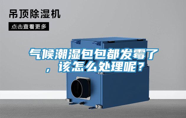 氣候潮濕包包都發(fā)霉了,該怎么處理呢?