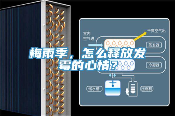 梅雨季，怎么釋放發霉的心情？