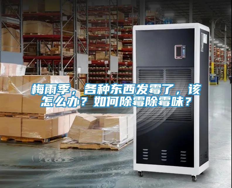 梅雨季，各種東西發霉了，該怎么辦？如何除霉除霉味？
