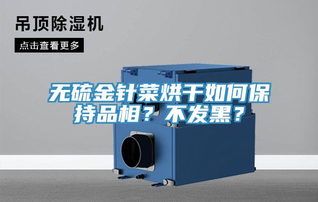 無硫金針菜烘干如何保持品相？不發黑？