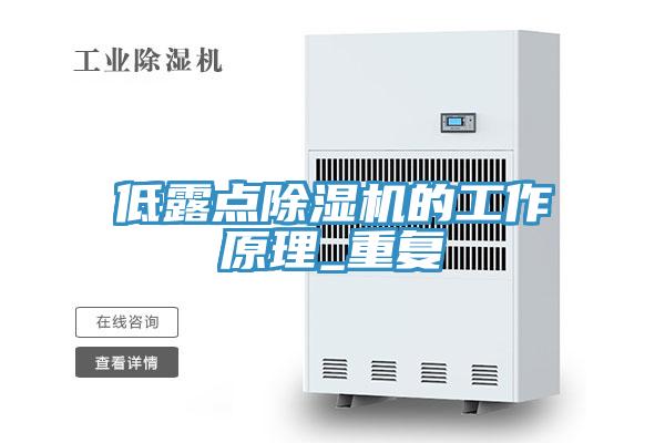 低露點(diǎn)除濕機(jī)的工作原理_重復(fù)