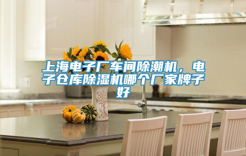 上海電子廠車間除潮機，電子倉庫除濕機哪個廠家牌子好