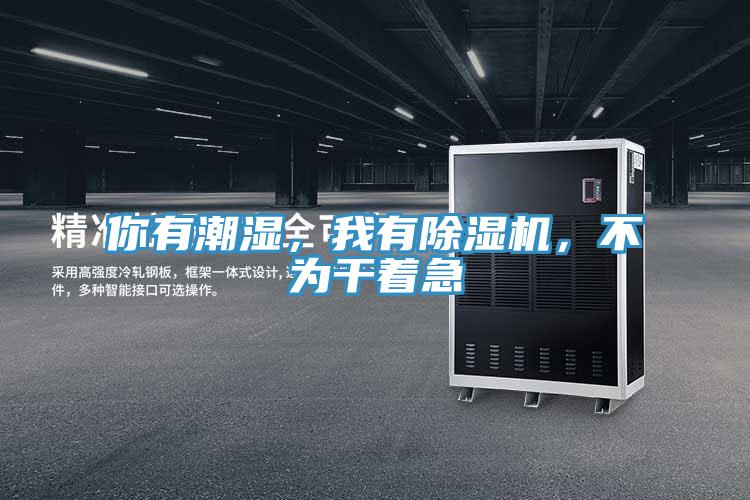 你有潮濕，我有除濕機，不為干著急