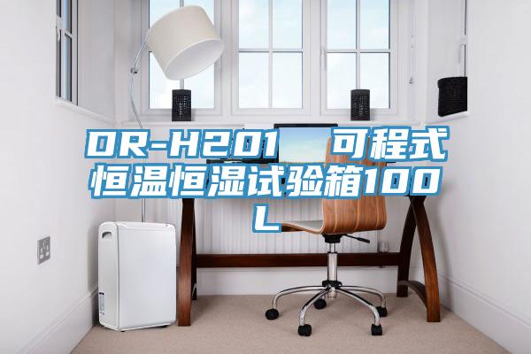 DR-H201  可程式恒溫恒濕試驗箱100L