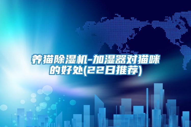養貓除濕機-加濕器對貓咪的好處(22日推薦)