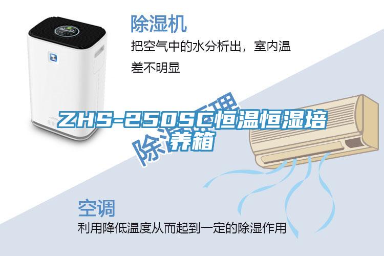 ZHS-250SC恒溫恒濕培養箱