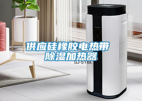 供應硅橡膠電熱帶 除濕加熱器