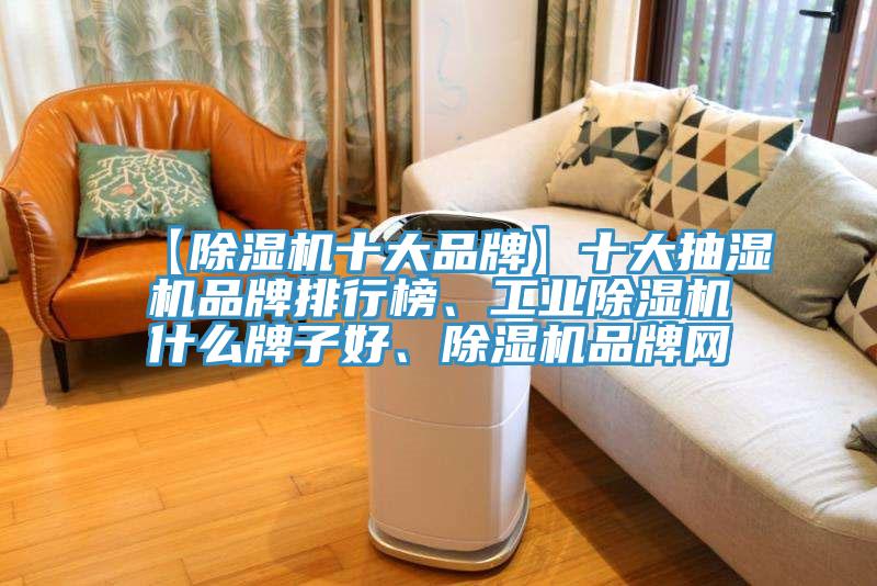 【除濕機十大品牌】十大抽濕機品牌排行榜、工業(yè)除濕機什么牌子好、除濕機品牌網(wǎng)