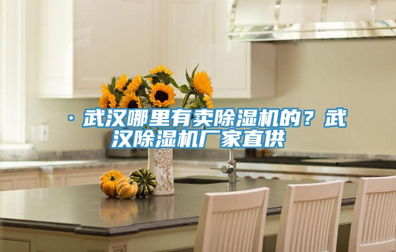 ·武漢哪里有賣除濕機的？武漢除濕機廠家直供