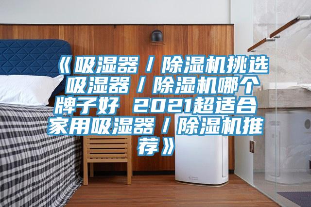 《吸濕器／除濕機挑選 吸濕器／除濕機哪個牌子好 2021超適合家用吸濕器／除濕機推薦》