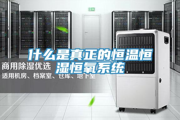 什么是真正的恒溫恒濕恒氧系統