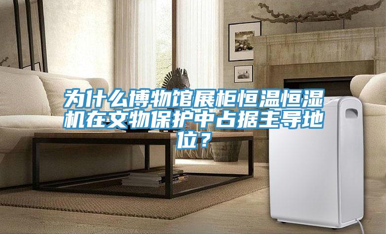為什么博物館展柜恒溫恒濕機(jī)在文物保護(hù)中占據(jù)主導(dǎo)地位？