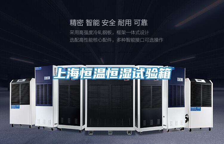 上海恒溫恒濕試驗箱
