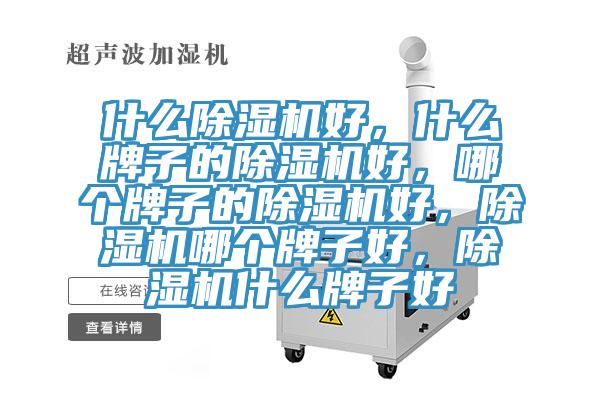什么除濕機好，什么牌子的除濕機好，哪個牌子的除濕機好，除濕機哪個牌子好，除濕機什么牌子好