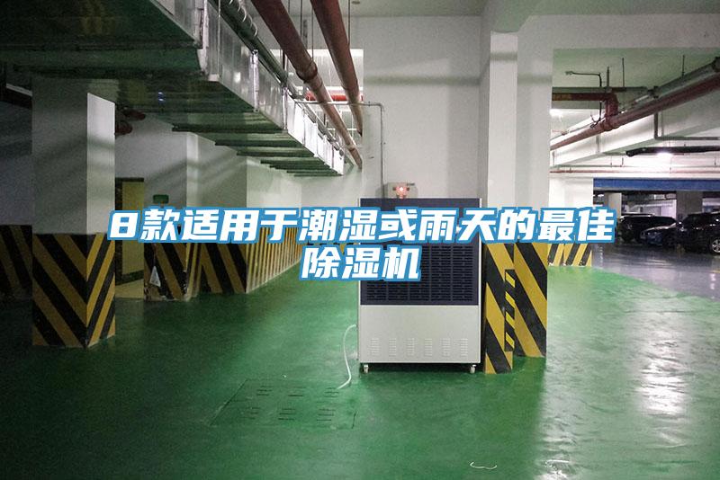 8款適用于潮濕或雨天的最佳除濕機(jī)