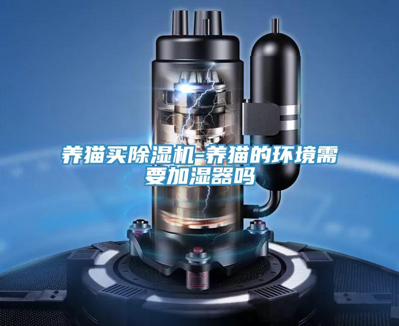 養貓買除濕機-養貓的環境需要加濕器嗎